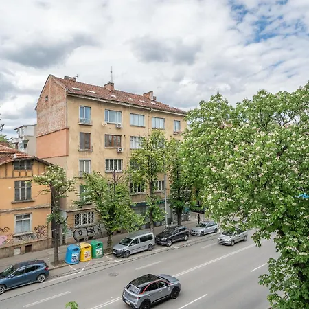 The Right Choice 19 * Sofía